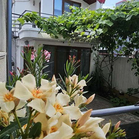 Casa Eladi *