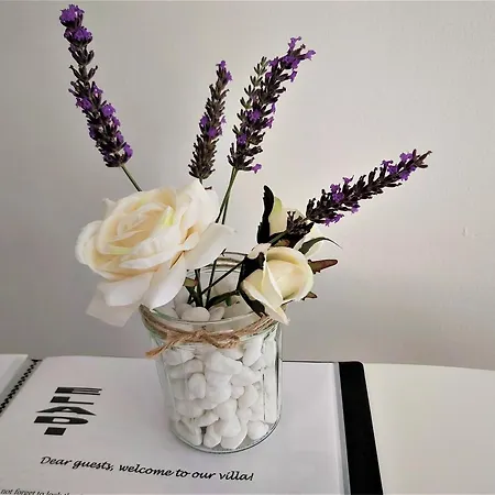 Casa Eladi * Eforie Sud (Constanta)