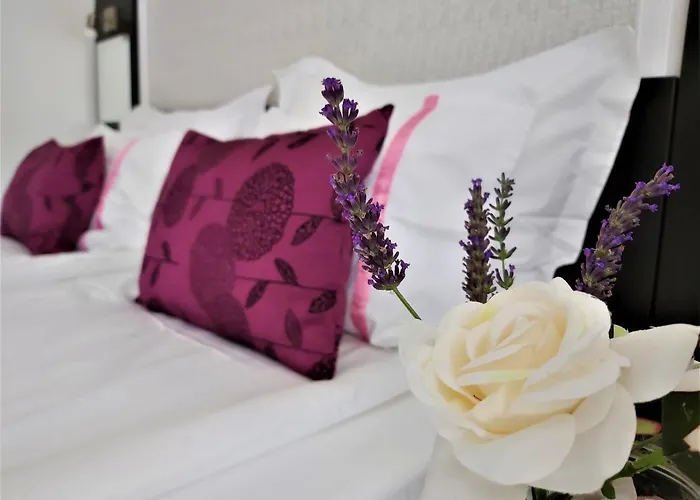 Casa Eladi * Eforie Sud (Constanta)